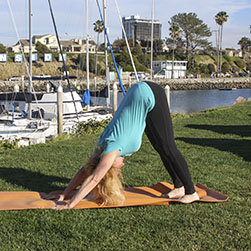 Downward Dog yoga pose