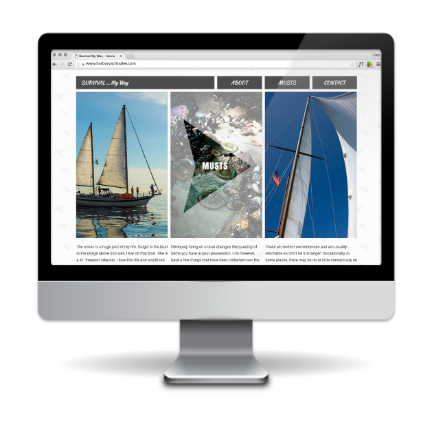 website image