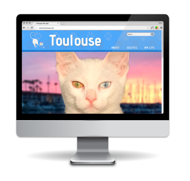 website image