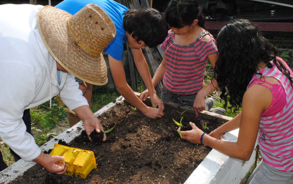 Family planting a garden box