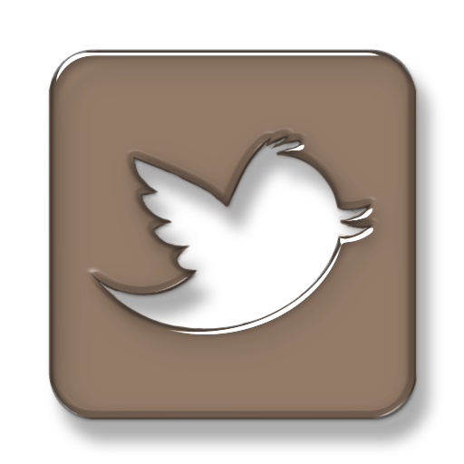 twitter icon
