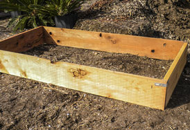 planter box