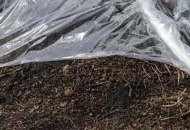 soil