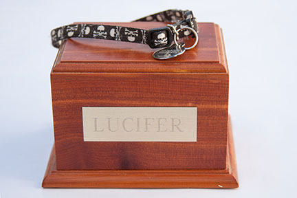Wood box with a cremated cat inside