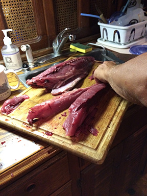 Fish being fileted.