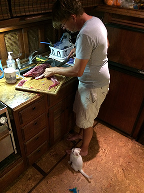 Cat begging for fish that person is cutting up.